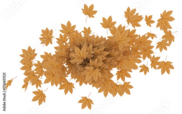 Obraz Autumn leaves scattered from above on a white background
