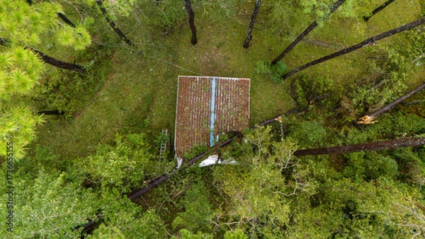 Obraz Hurricane Aftermath