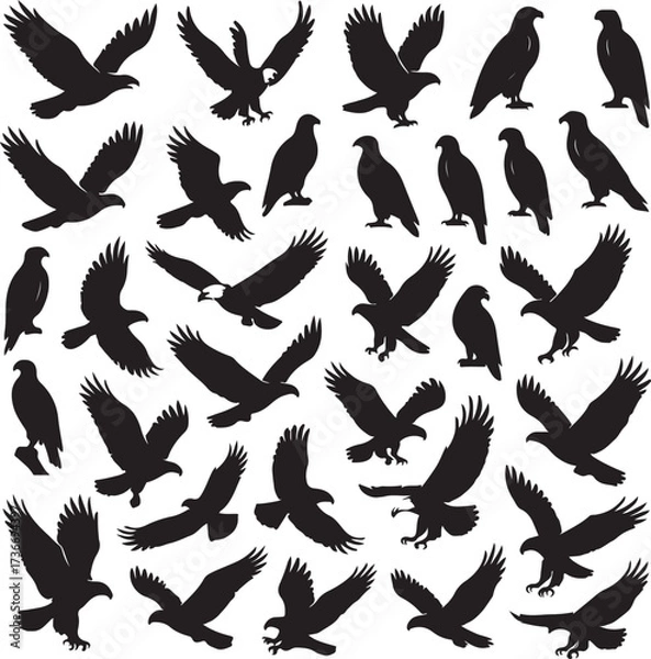 Fototapeta Adobe Illustrator Artwork