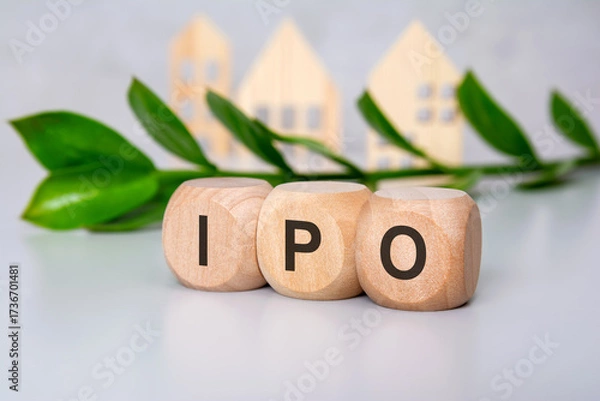 Fototapeta Wooden blocks with IPO letters on desk with leaves and house figures