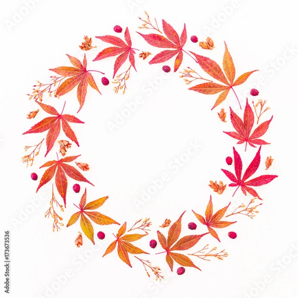 Fototapeta Autumn composition. Wreath frame of autumn maple leaves and flowers on white background. Flat lay, top view