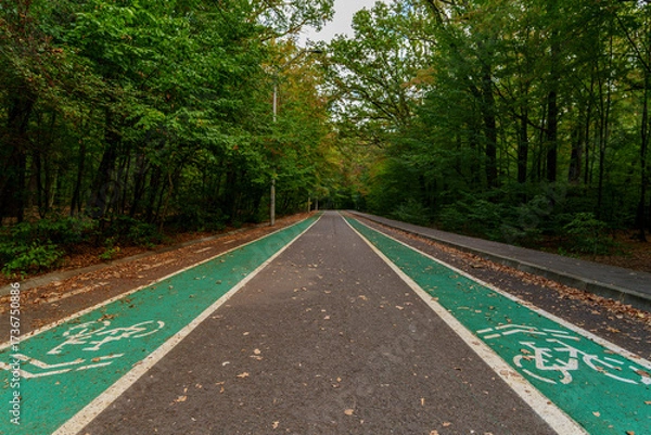 Fototapeta Double bike path through forest in autumn