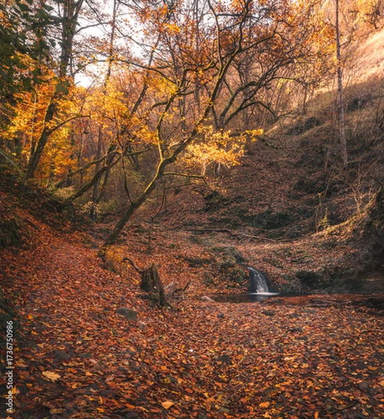 Fototapeta Autumn Forest Waterfall at Golden Hour with Leaf-Covered Pool