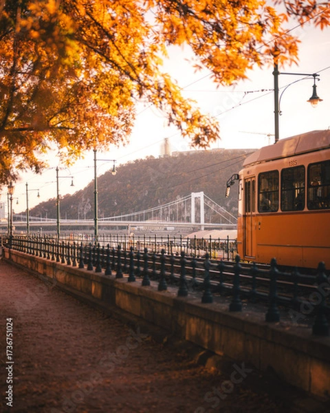Fototapeta Budapest Yellow Tram and Elisabeth Bridge at Autumn Golden Hour