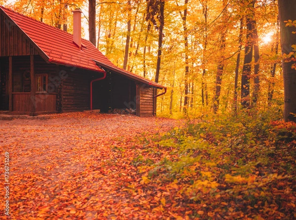 Fototapeta Cozy Wooden Cabin in Autumn Forest with Colorful Fall Foliage
