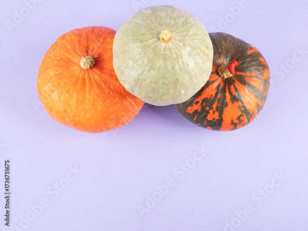 Obraz Three colorful pumpkins on purple background