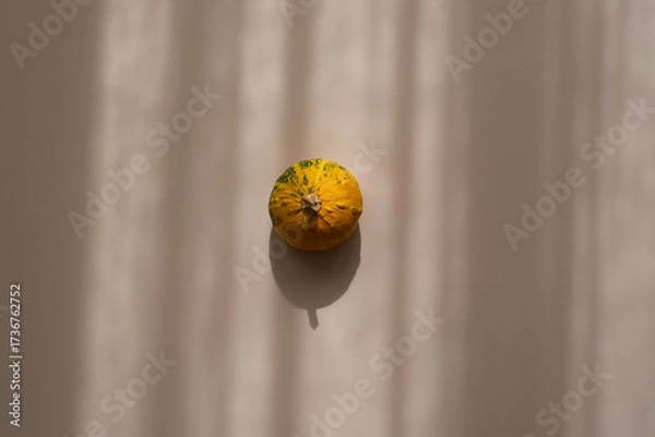 Fototapeta Small decorative pumpkin on beige background, soft shadows, minimal top view aesthetic	