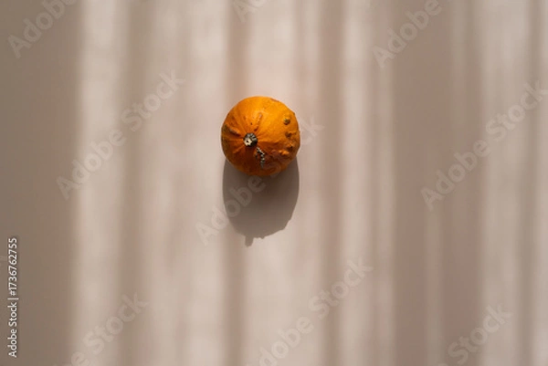 Fototapeta Small decorative pumpkin on beige background, soft shadows, minimal top view aesthetic	