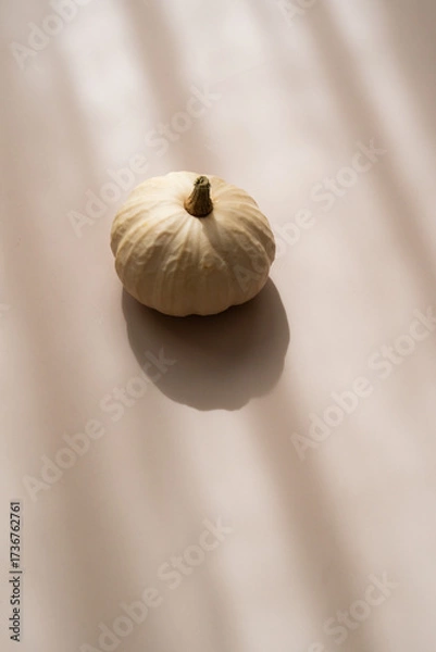 Fototapeta Small decorative pumpkin on beige background, soft shadows, minimal top view aesthetic	
