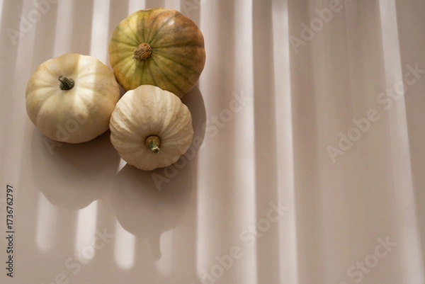 Fototapeta White decorative pumpkins, soft shadows, beige background, top view autumn aesthetic, copy space	
