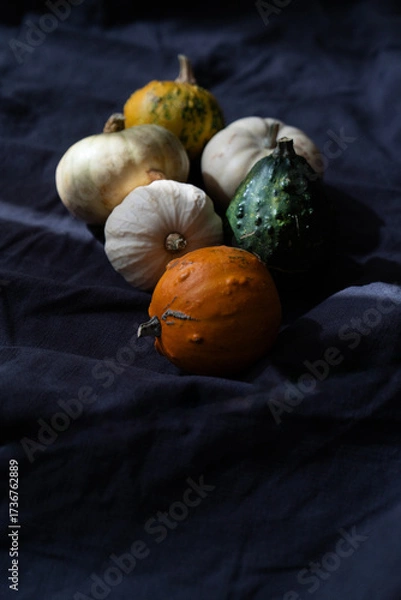 Fototapeta Decorative pumpkins on black fabric background with ray of light, autumn aesthetic minimalism	
