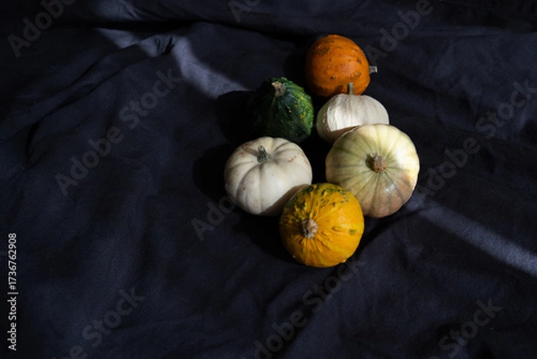 Fototapeta Decorative pumpkins on black fabric background with ray of light, autumn aesthetic minimalism	
