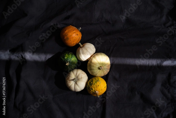 Fototapeta Decorative pumpkins on black fabric background with ray of light, autumn aesthetic minimalism	