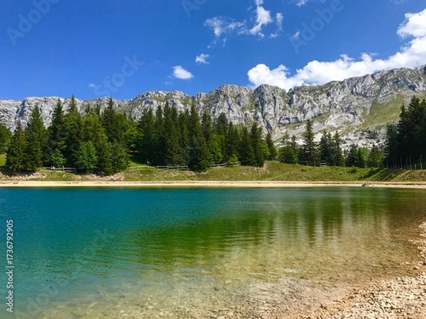 Fototapeta Mountain Lake with Clear Waters and Pine Forest
