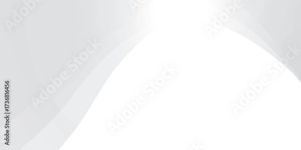 Fototapeta Vector gray line background curve element with white space for text and message design. Eps 10