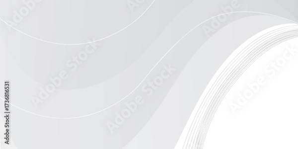 Fototapeta Vector gray line background curve element with white space for text and message design. Eps 10