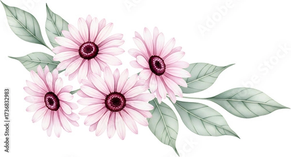 Obraz Watercolor illustration of pink daisy flowers with deep maroon centers and soft green leaves arranged in a corner design floral nature botanical petal