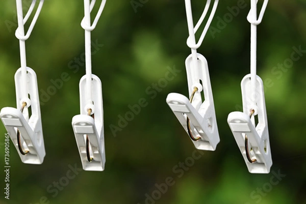 Obraz 庭に並ぶ洗濯バサミ