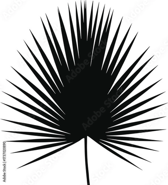 Fototapeta black silhouette tropical palm leaf isolated illustration design vector graphic botanical nature plant foliage shape abstract pattern decorative artwork