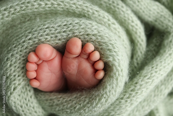 Fototapeta Soft feet of a newborn in a olive green blanket. Close up of toes, heels and feet of a newborn baby.