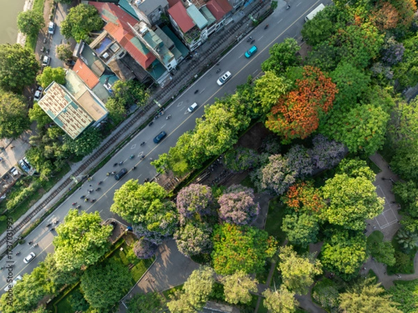 Fototapeta Aerial shot of vibrant trees along Le Duan street near lakeside in Hanoi.