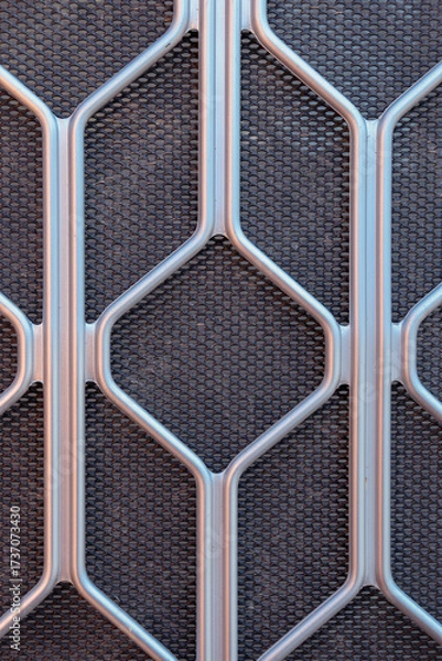 Obraz metal background of security door screen