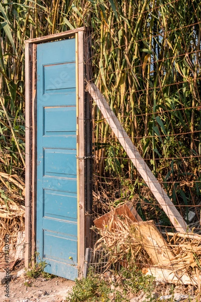 Fototapeta Door without house