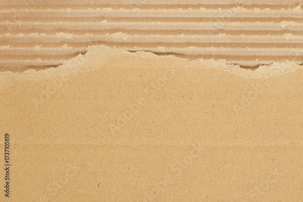 Fototapeta Brown cardboard sheet abstract background, texture of recycle paper box in old vintage pattern with ripped edges.