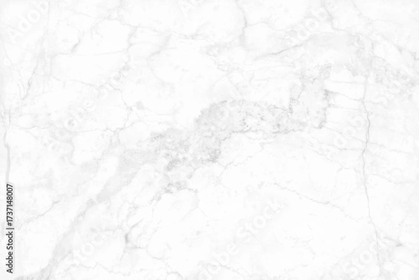 Fototapeta White grey marble seamless glitter texture background, counter top view of tile stone floor in natural pattern.