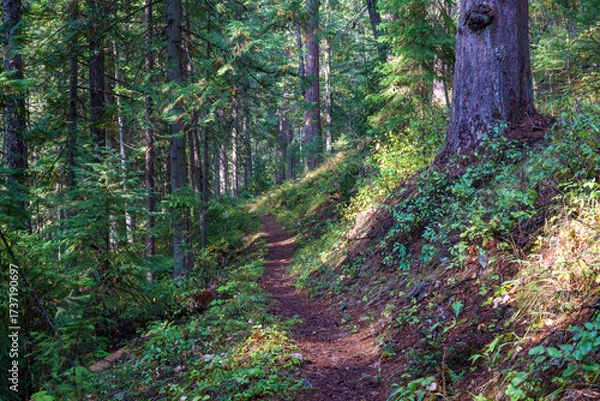 Obraz Vinal Creek Trail #9