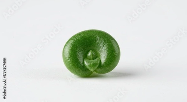 Obraz Single Green Pea Pod with a Pea Inside on White Background.