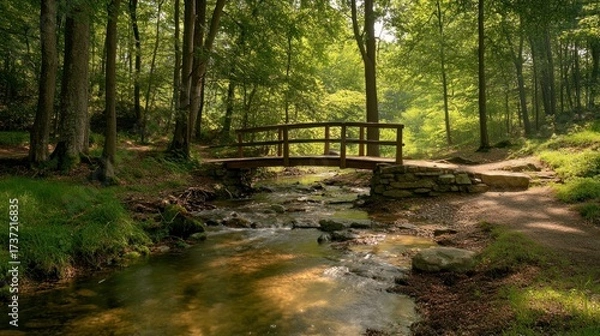 Fototapeta Wooden bridge over a clear stream in a lush forest. Sunlight filters through trees