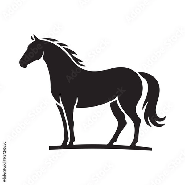 Fototapeta horse silhouette vector