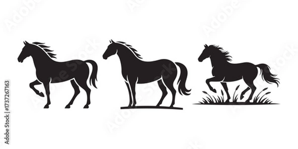 Fototapeta horses on the white background