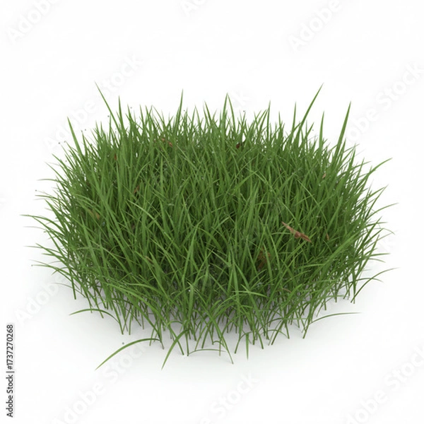 Obraz AI-Generated, grass isolated on a white background