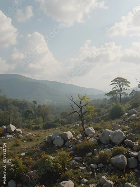 Obraz A war-torn landscape where nature is healing the scars of battle