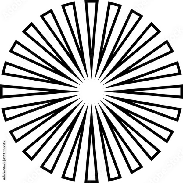 Fototapeta Vintage Sunburst Vector Icons – Perfect for Branding