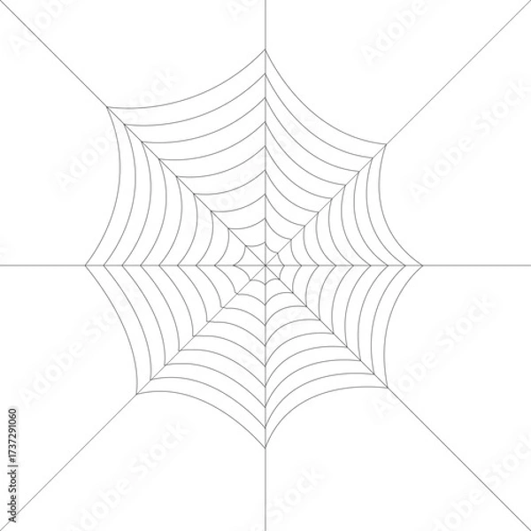 Fototapeta Minimal spider web outline with thin geometric lines on white background