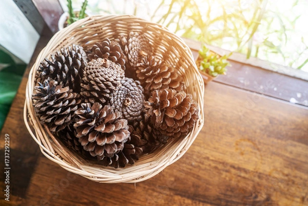 Fototapeta Natural Pine Cones in Rustic Basket Display