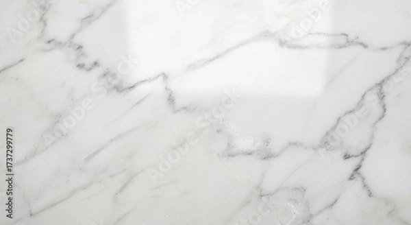 Obraz white snow background