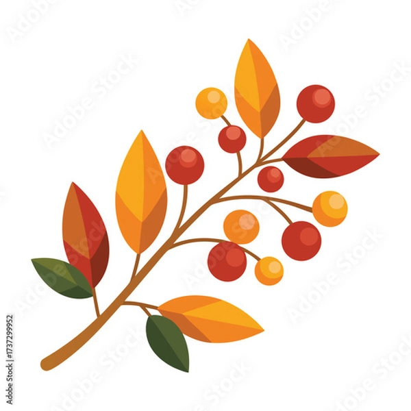 Fototapeta autumn leaves and berries on a branch