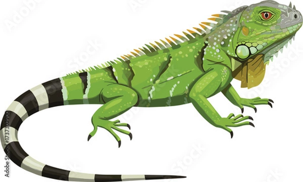 Obraz Green iguana side view, realistic reptile illustration, vector animal design, educational biology content, tropical wildlife, lizard anatomy image