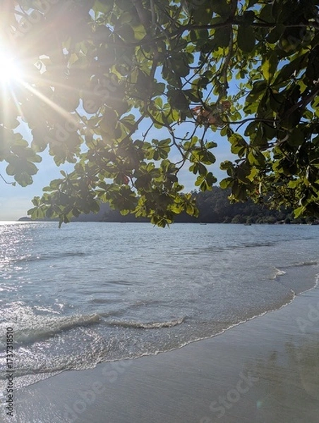 Fototapeta Beach with leaves at the top with ray of sun shining through