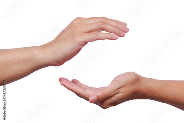 Fototapeta Two Hands protecting something  or holding something. png image