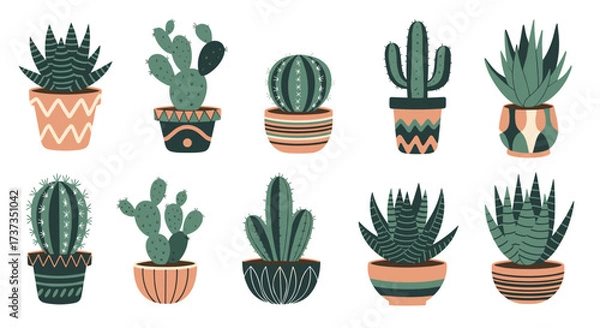 Obraz A collection of potted houseplants featuring various cacti and succulents.