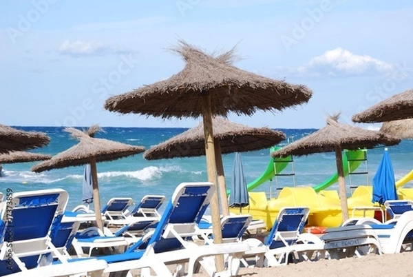 Fototapeta cala tarida