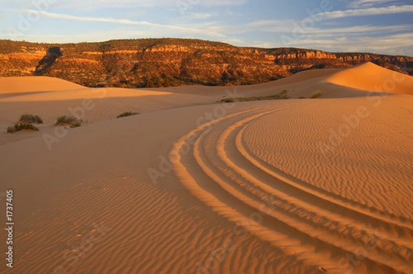 Obraz coral pink sand dunes 1