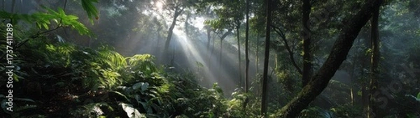 Fototapeta Lush tropical forest hdr panoramic scene vibrant nature captured in 360-degree serenity