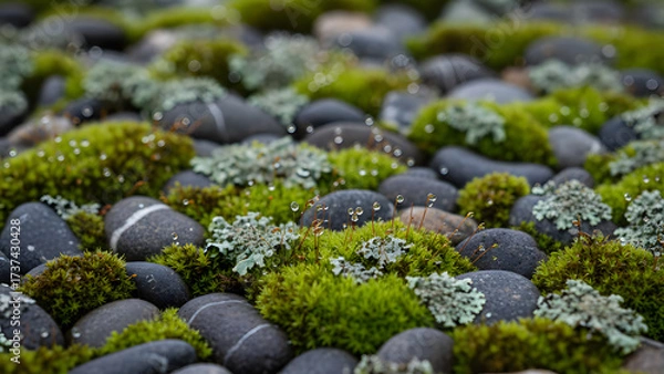 Obraz AI-Generated Close-up of a forest stone on the ground, background image,