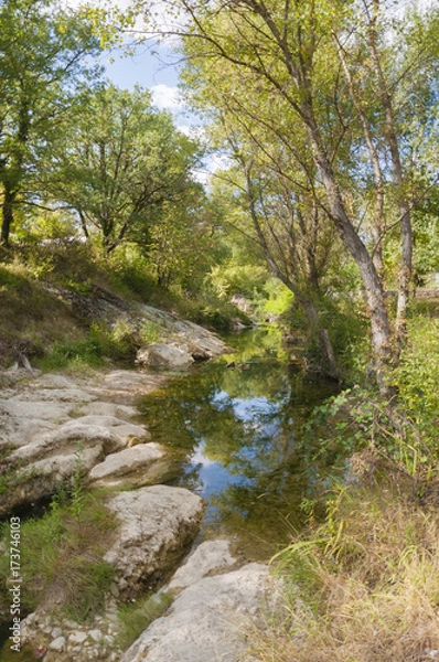 Fototapeta A french river at the of the summer